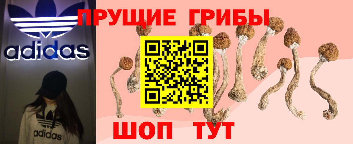 Галлюциногенные грибы мухоморы Когалым